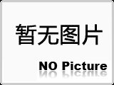 铸铁弯板